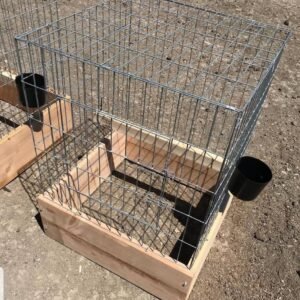 Buy Pens for gamefowl