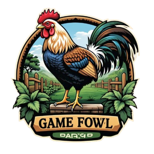 Elite Game fowls hatchery